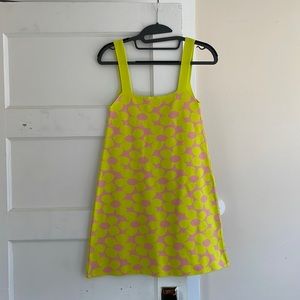 Zara Retro Floral Mini Dress